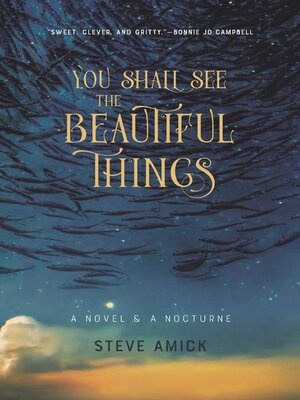 cover image of You Shall See the Beautiful Things